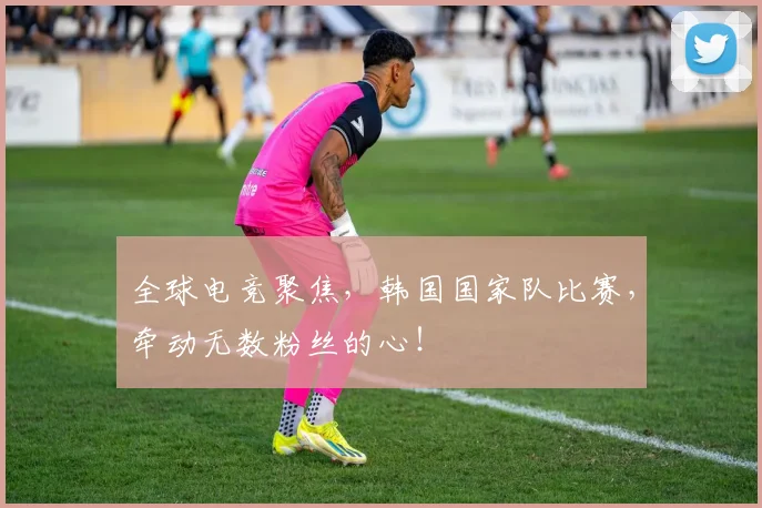 全球电竞聚焦,韩国国家队比赛,牵动无数粉丝的心!