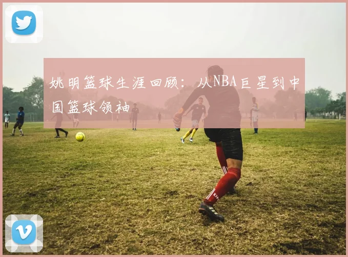 姚明篮球生涯回顾：从NBA巨星到中国篮球领袖