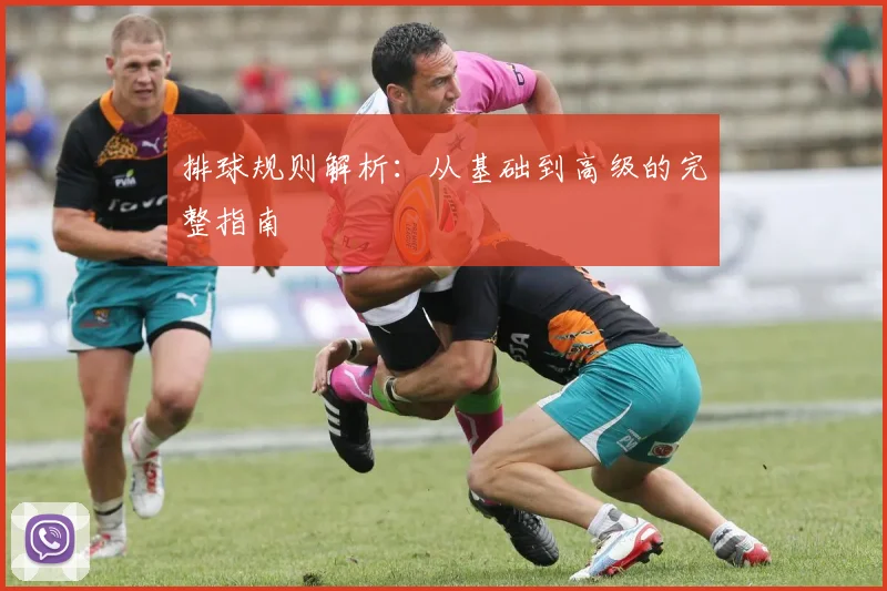 排球规则解析：从基础到高级的完整指南