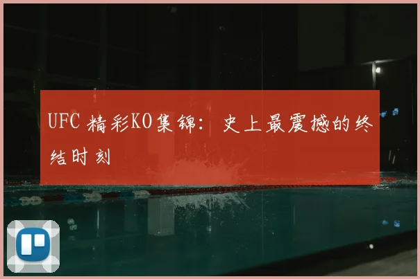 UFC 精彩KO集锦：史上最震撼的终结时刻