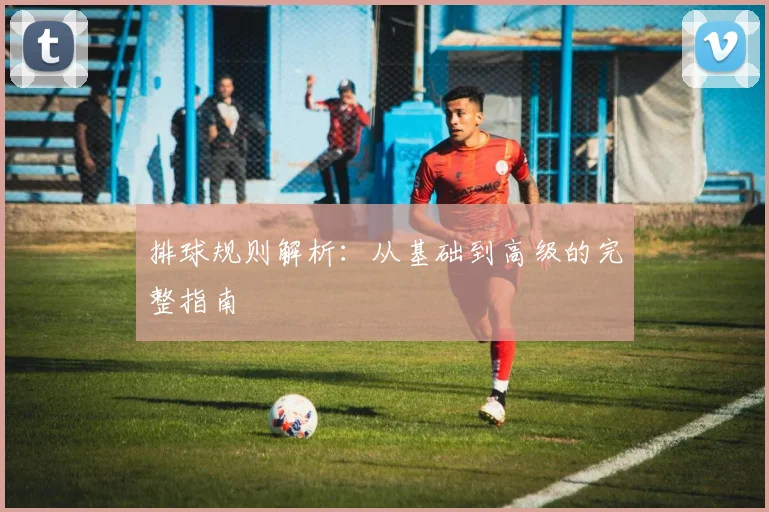 排球规则解析：从基础到高级的完整指南